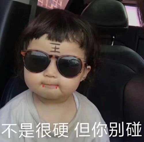 不是很硬但你别碰
