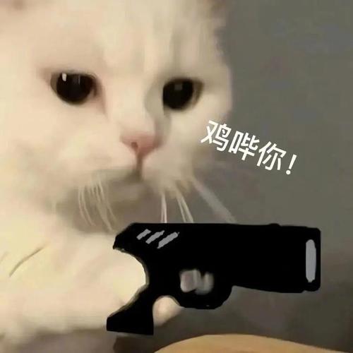 鸡哗你！