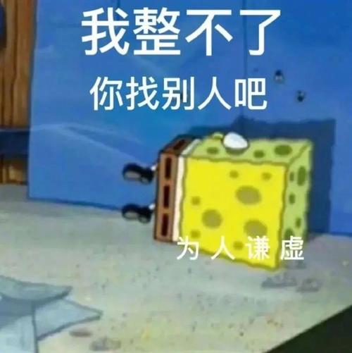 我整不了 你找别人吧 为人谦虚