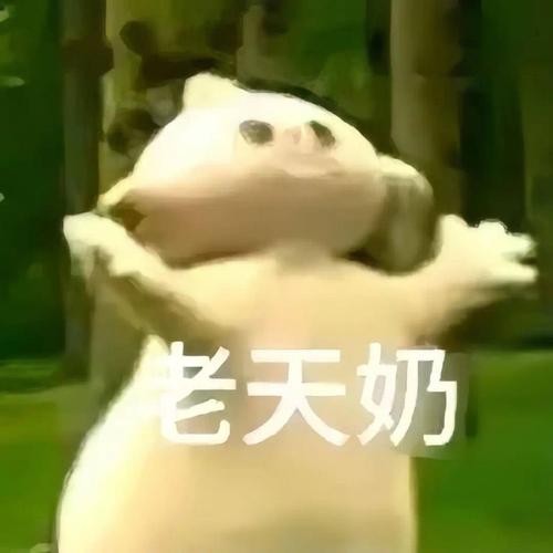 老天奶