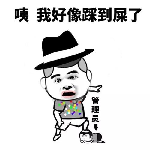 你好像踩到屎了 管理员