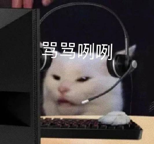 驾骂咧咧