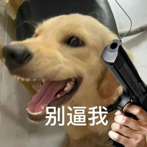 别逼我