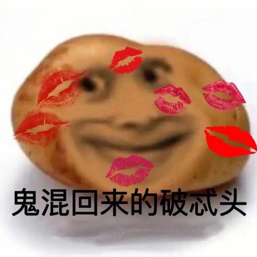 鬼混回来的破戒头