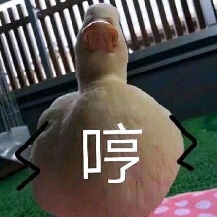 哼 八