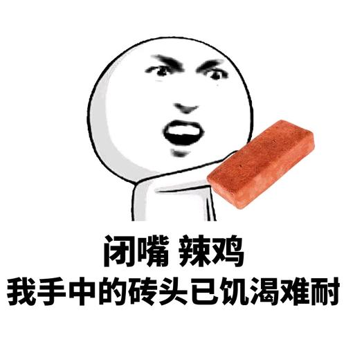 闭嘴辣鸡 我手中的砖头已饥渴难耐