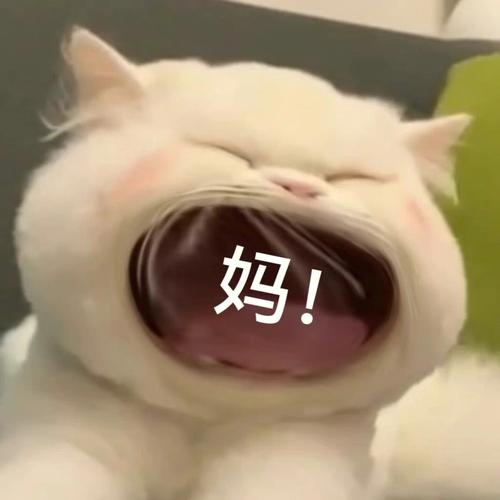 妈！