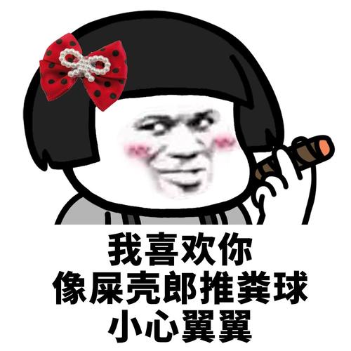 我喜欢你 像屎壳郎推粪球 小心翼翼