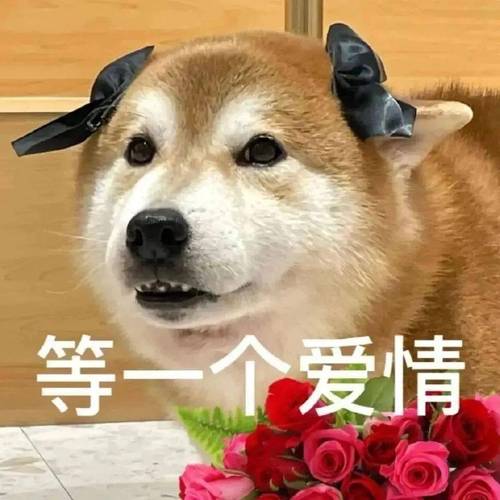 等一个爱情