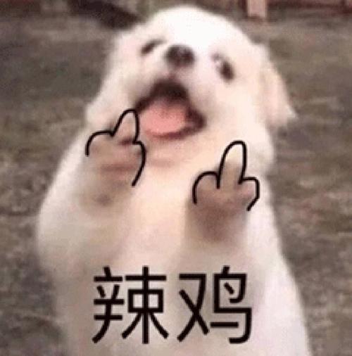 辣鸡 福