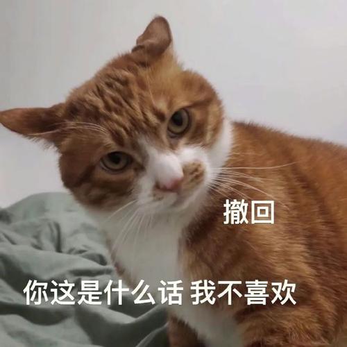 撤回 你这是什么话我不喜欢