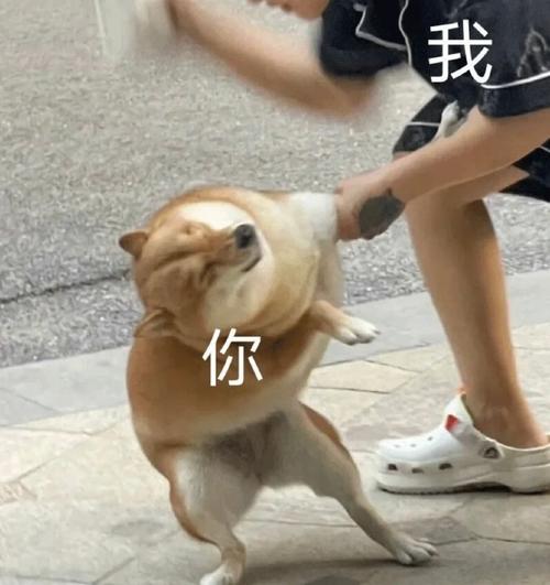 我 你