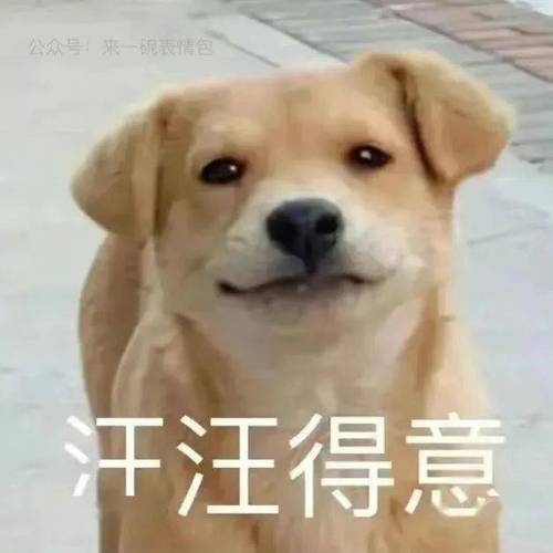 号：来一碗表情包 汗汪得意