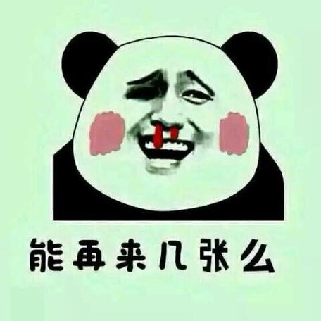 能再来几张么
