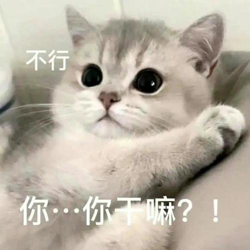 不行 你···你干嘛？！