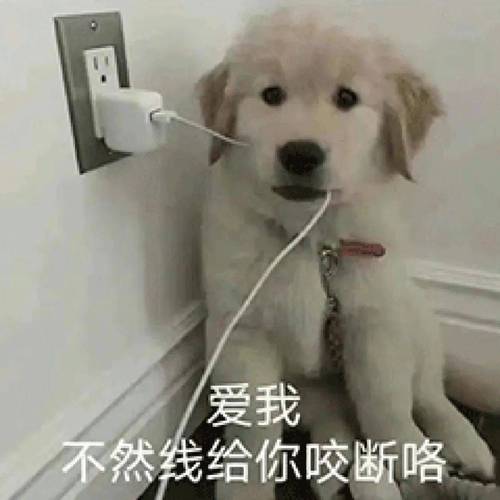 爱我 不然线给你咬断咯