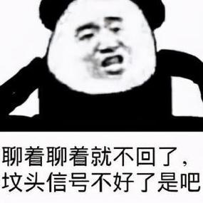 聊着聊着就不回了 坟头信号不好了是吧