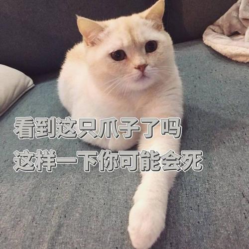 看到这只爪子了吗 这样一下你可能会死