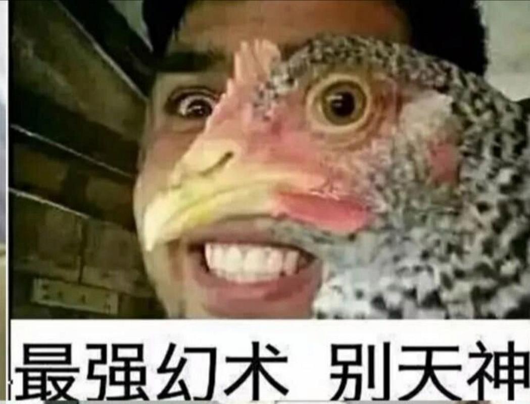 最强幻术 别天神