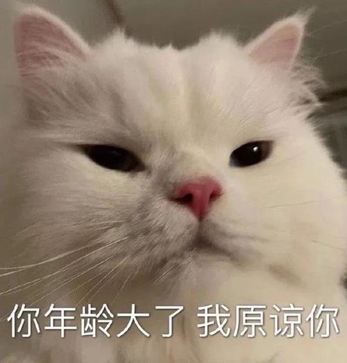你年龄大了我原谅你