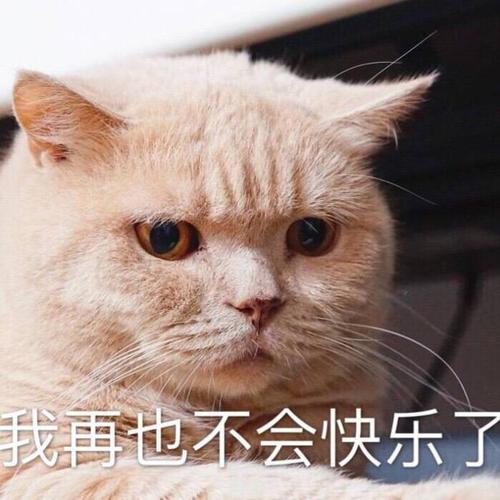 我再也不会快乐了