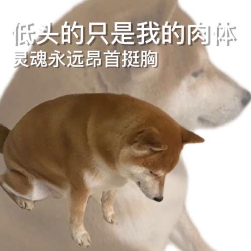 低头的只是我的肉体 灵魂永远昂首挺胸