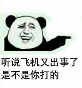 听说飞机又出事了 是不是你打的