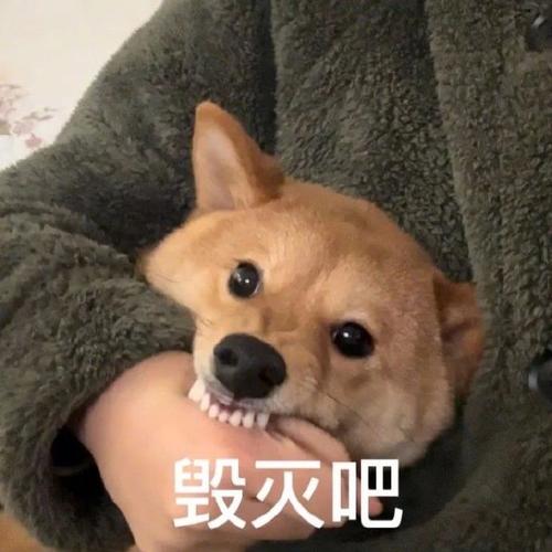 毁灭吧