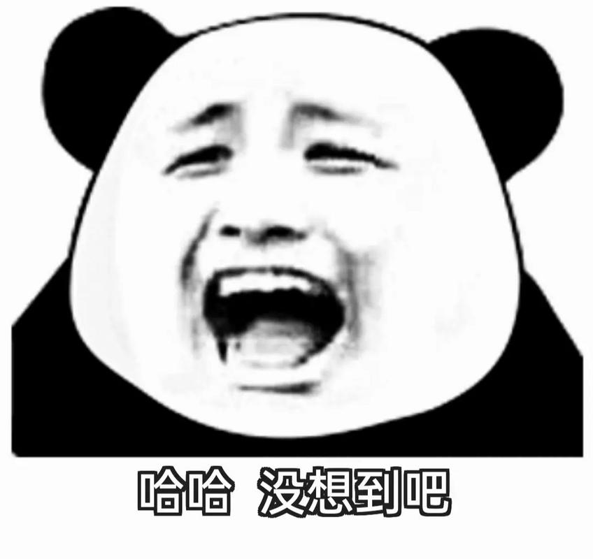 哈哈 没想到吧