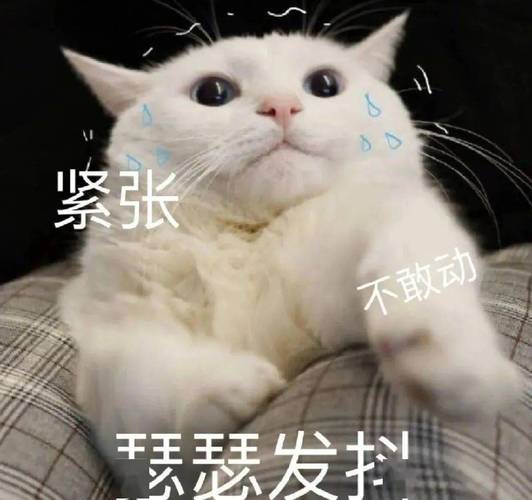 紧张 不敢动