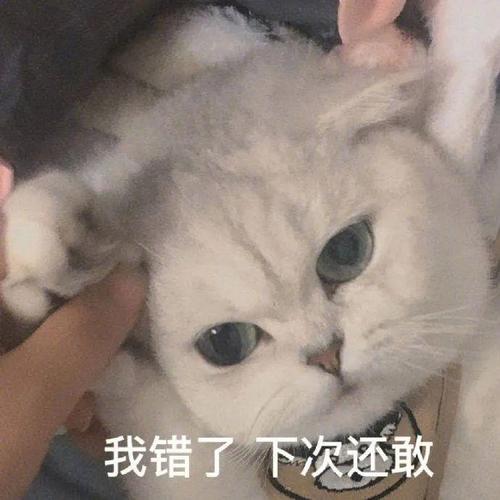 我错了下次还敢