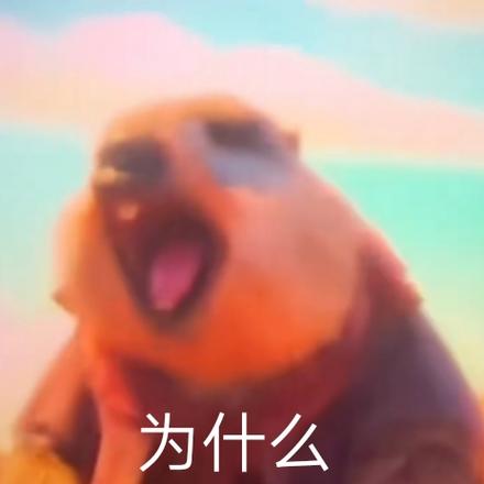 为什么