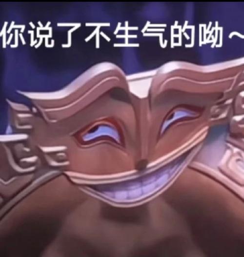 你说了不生气的呦