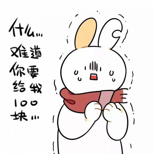什么… 难道 你给我 100 块小