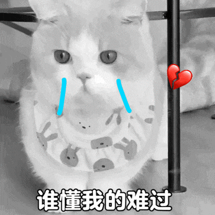 谁懂我的难过