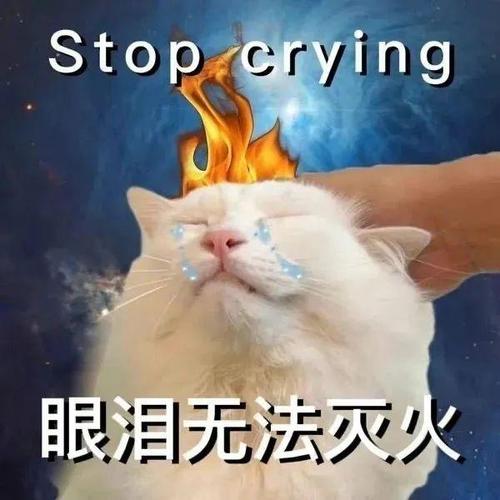 Stop_crying 眼泪无法灭火