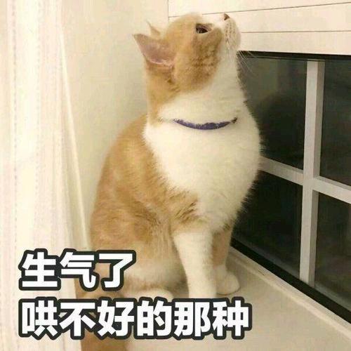 生气了 哄不好的那种