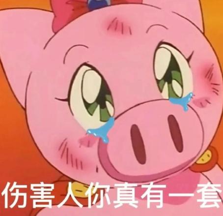 伤害人你真有一套