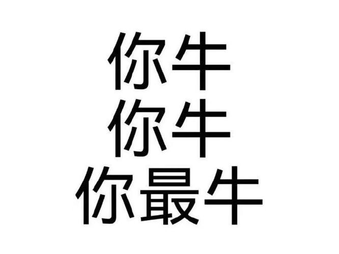 你牛 你牛 你最牛