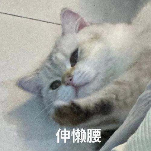 伸懒腰