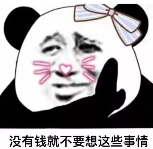 没有钱就不要想这些事情