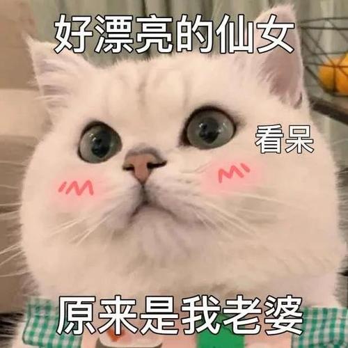 好漂亮的仙女 看呆 原来是我老婆