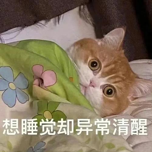 想睡觉却异常清醒