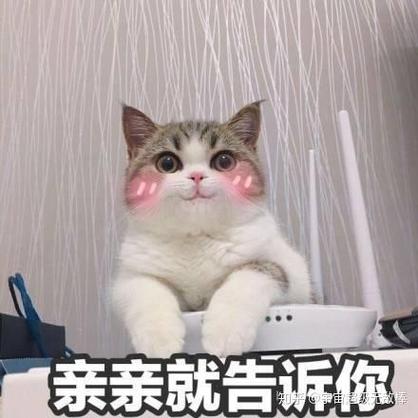 亲亲就告诉你