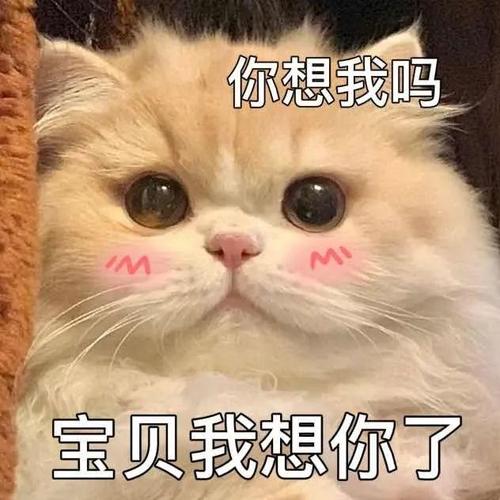 你想我吗 宝贝我想你了