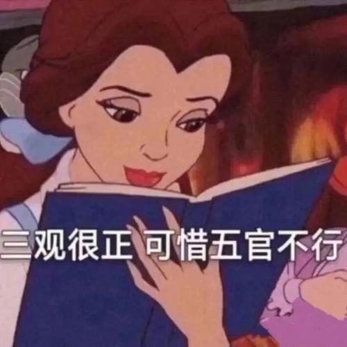三观很正可惜五官不行
