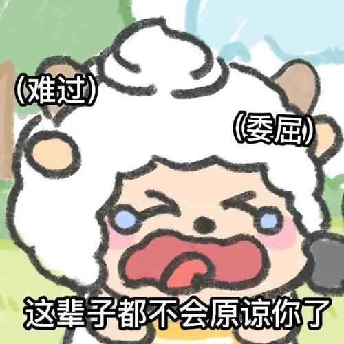 （难过） （委屈） 这辈子都不会原谅你了