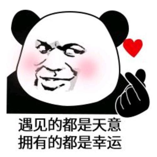 遇见的都是天意 拥有的都是幸运
