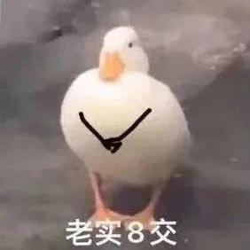 老实8交
