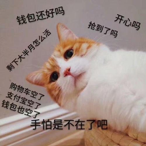 钱包还好吗 开心吗 抢到了吗 刺下大半月怎么活 购物车空了 空了 钱包也空了 手怕是不在了吧